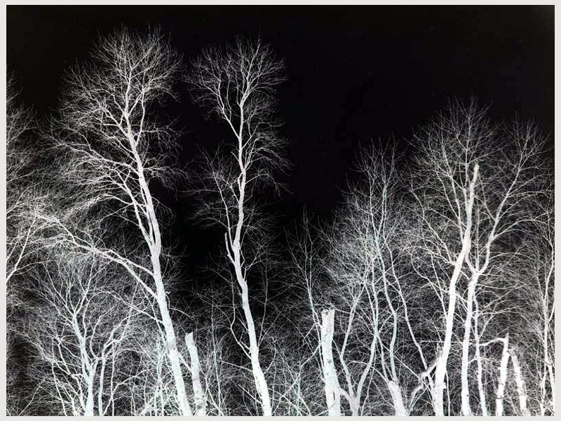 Winter Bones