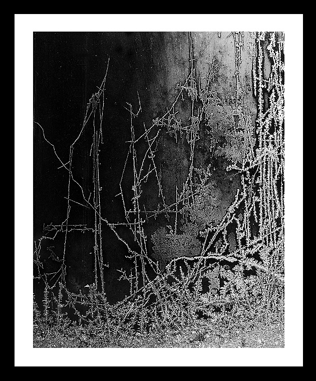 <b>4th</b><br>natures constant cryptic message <BR> by inframan