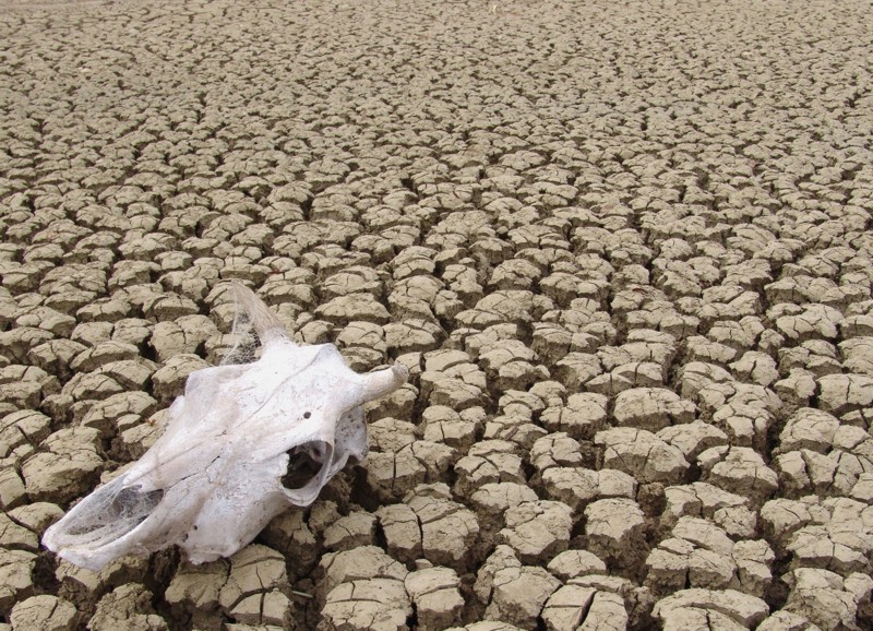 Lake Bed