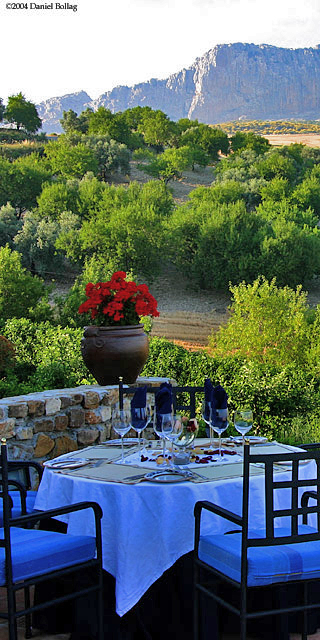 ReadyForDinner in Color