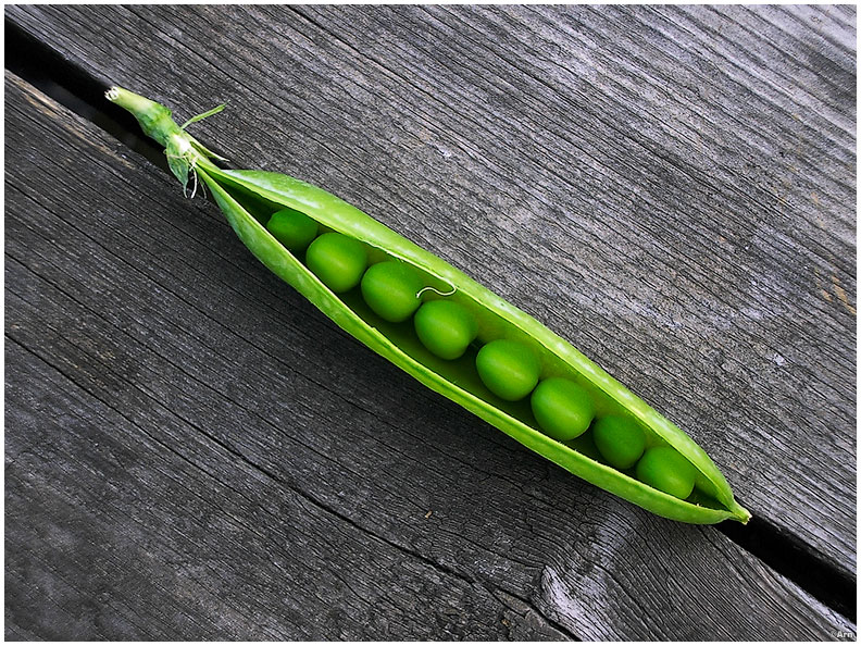 <b>HM</b><br>peas