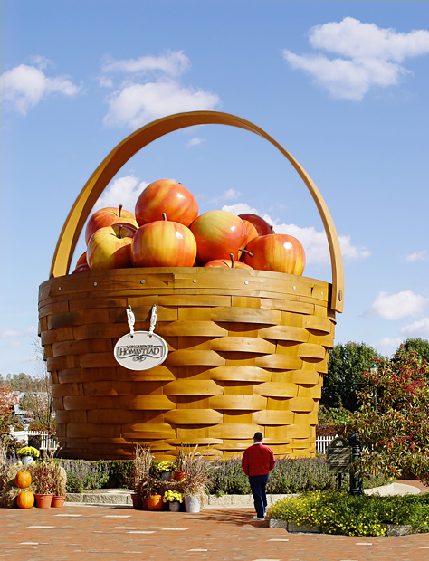 Apples in a Basket
