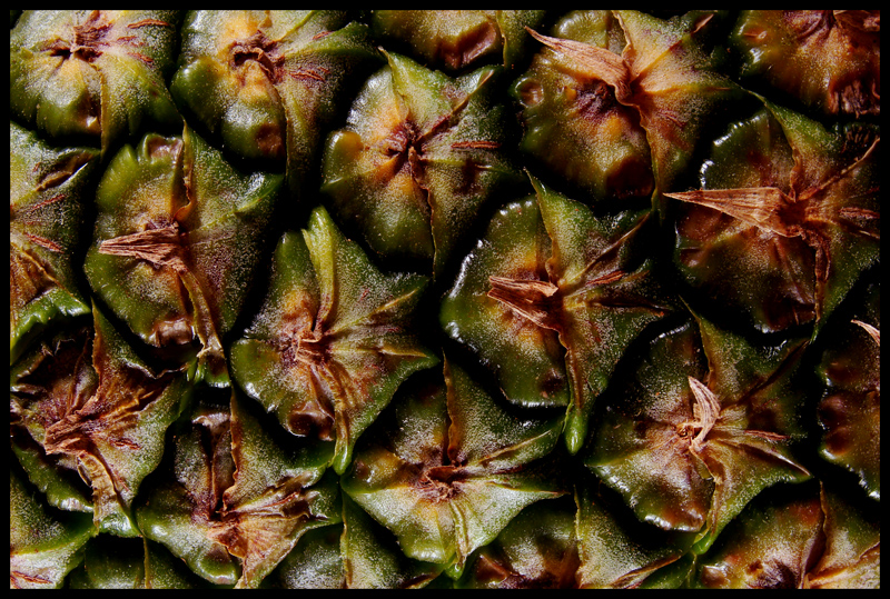 Pineapple Perspective<BR>by photocat37