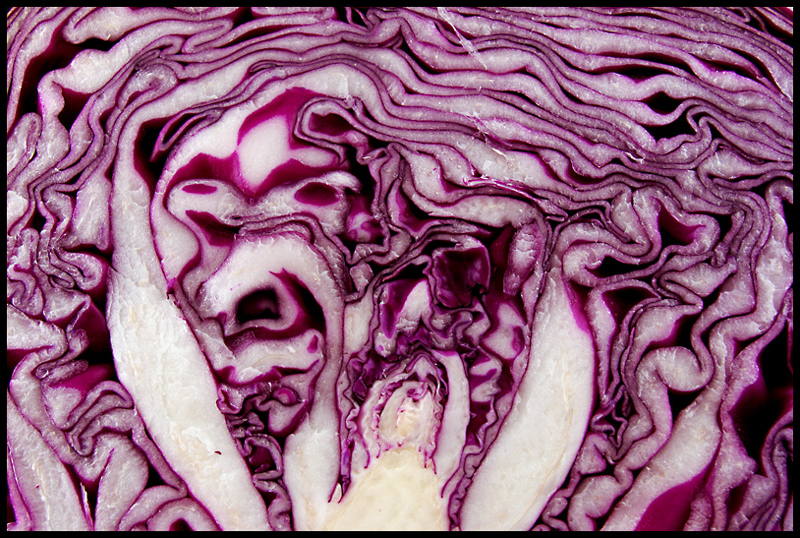 Cabbage Cross-Section<BR>by photocat37