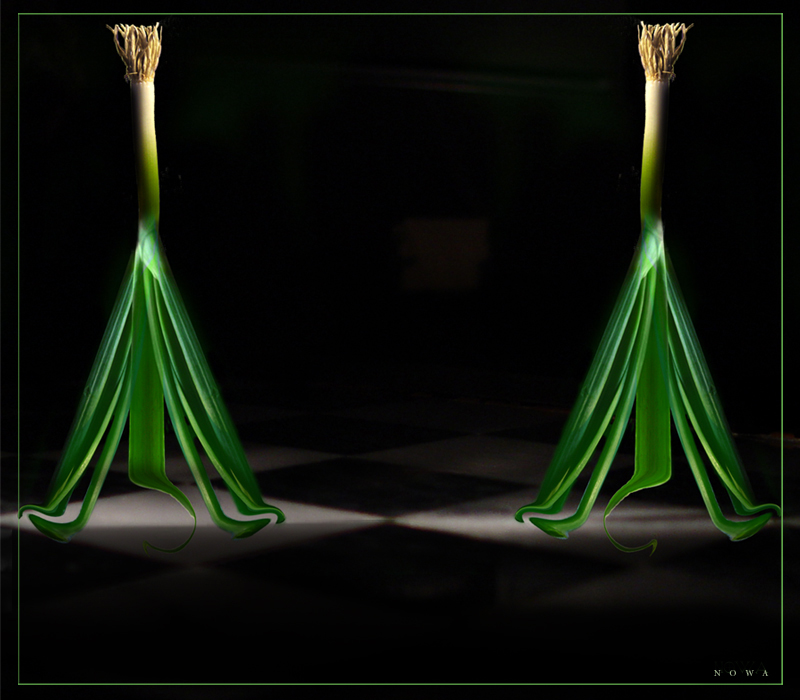 <b>7th Place</b><br>Ladies-Of-Shalott <BR>  by irish_eye