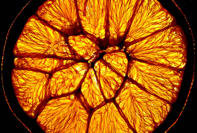 <b>6th Place</b><br>Not Quite Orange<br>by MCsaba