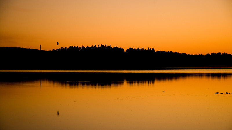 Midnight in Sweden<br>by Wojtas