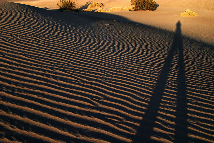 Long shadows...<br>by Carlos Ch.
