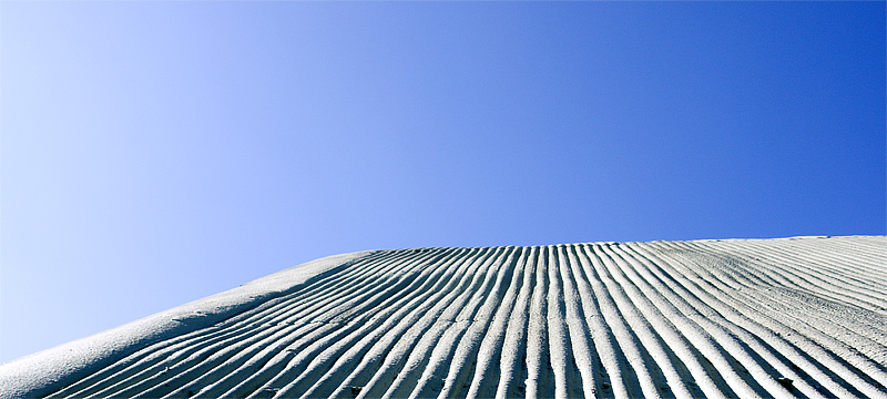 Lines and Shadows <br> by Harvey Rawn
