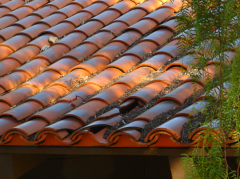 TILE ON TILE<br>by TWCLEAD