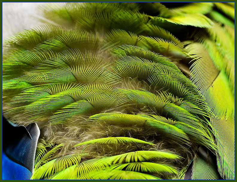 <b>6th Place (tie)</b><br>feathery layers