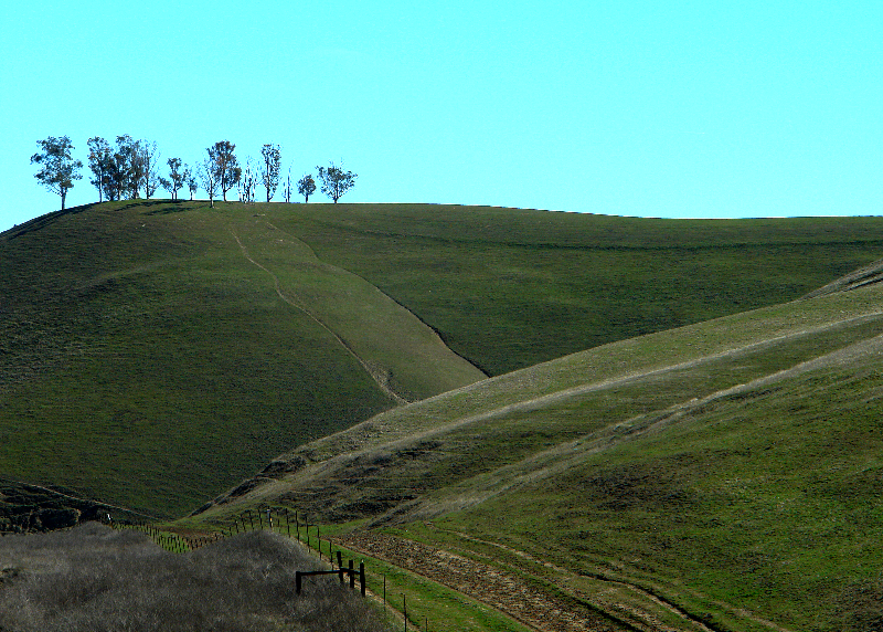 PATH TO TREE ON THE HILL<br>by Dale Hardin