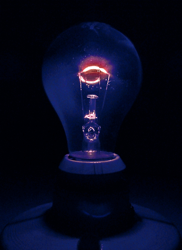 <B>5th Place</b><br>Bright Idea*<BR>by photocat37