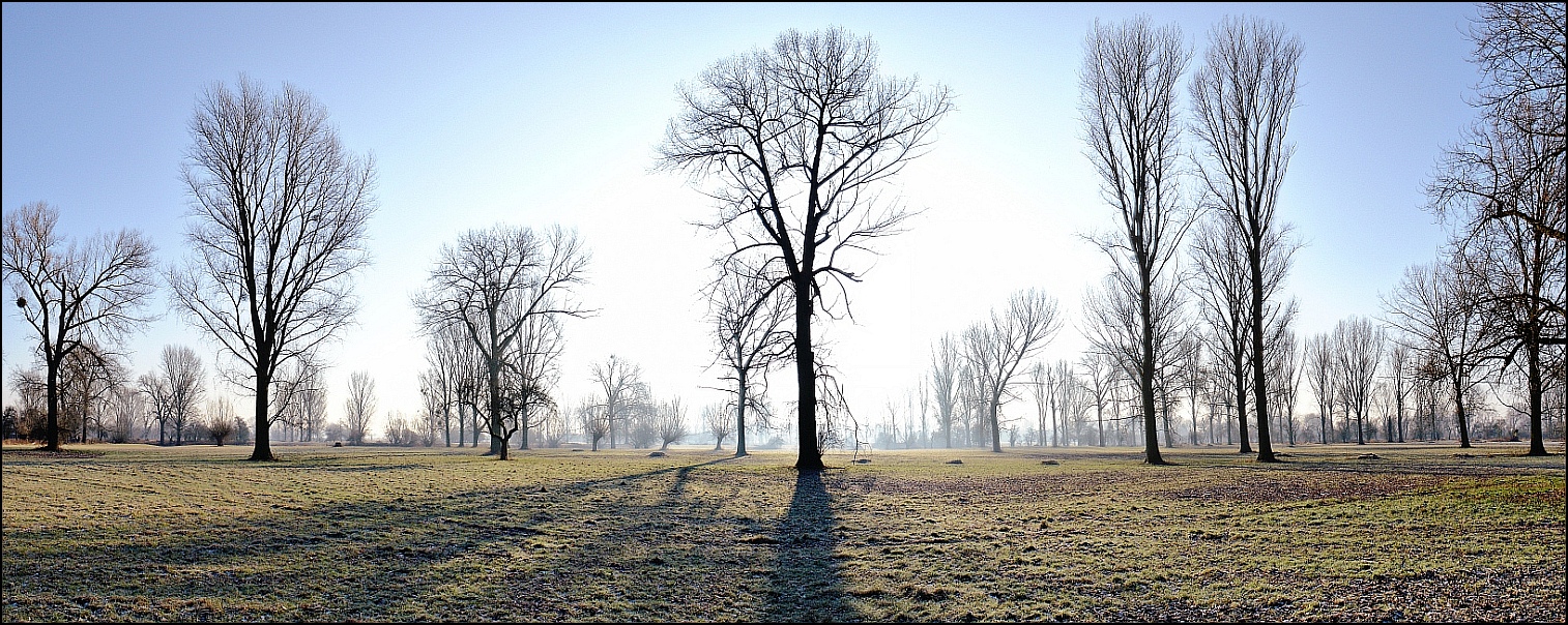 Winter Sun Light*<br>by Franky2005