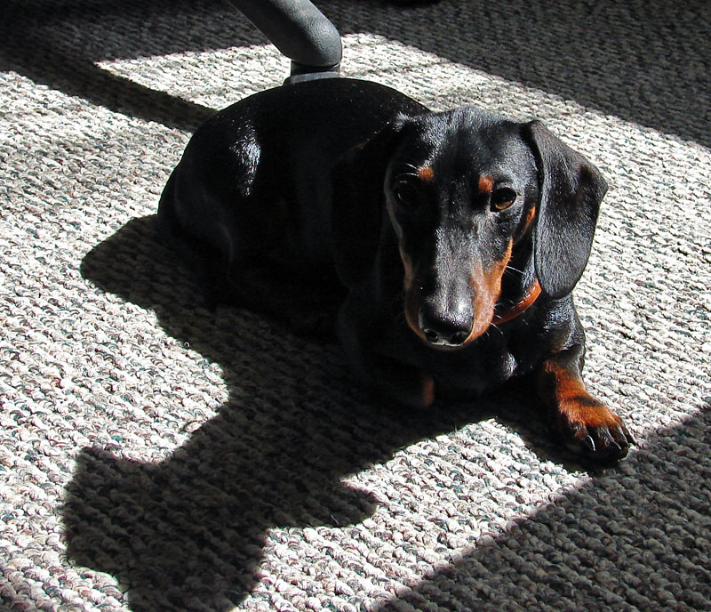 Remy & her blanket of sun...<br>by inframan