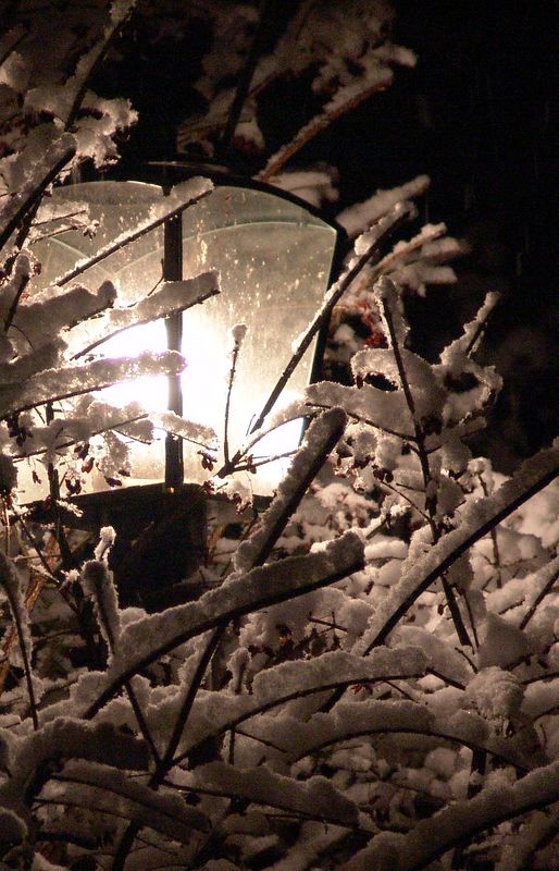 Residential Light<br>by Tessa HD Campbell