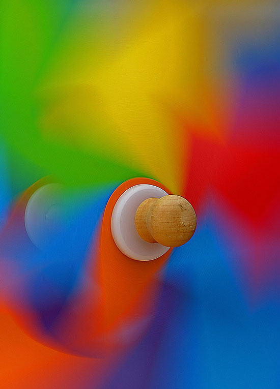 Exhibition Header