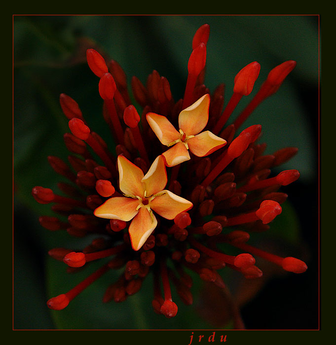 2nd: Longing and Becoming<br>by jrdu