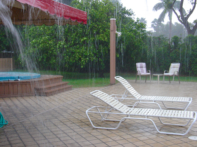 Summer Squalls*
