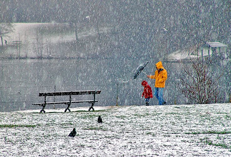 <b>4th</b><br>Snow Storm<br>by Moti