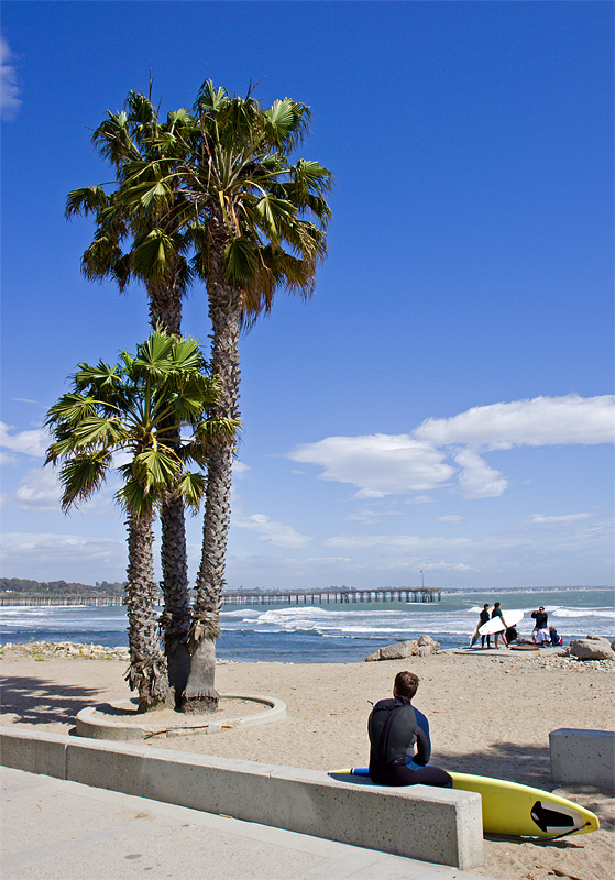 Surfs Almost Up<br>by Harvey Rawn