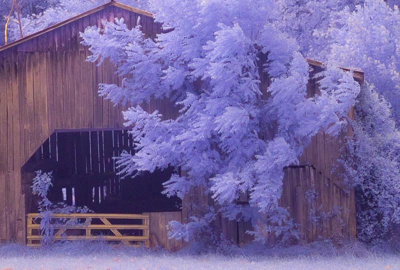 Unicorns barn<br>by Anonymous