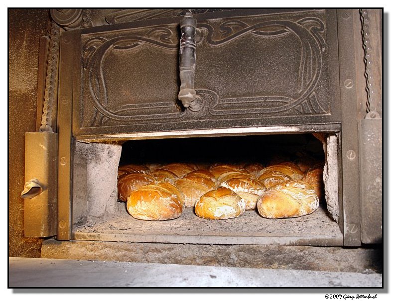 tasty portal
