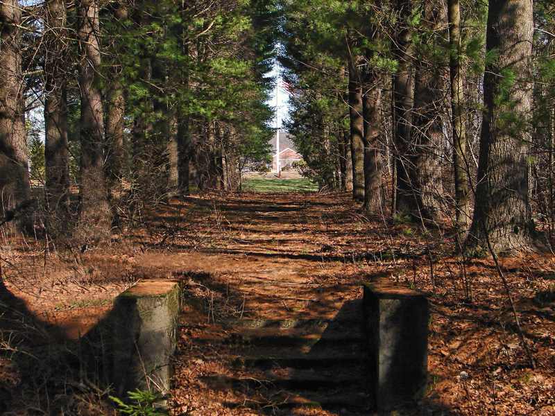 Door into the Woods* (original) <br> by hawkeye978