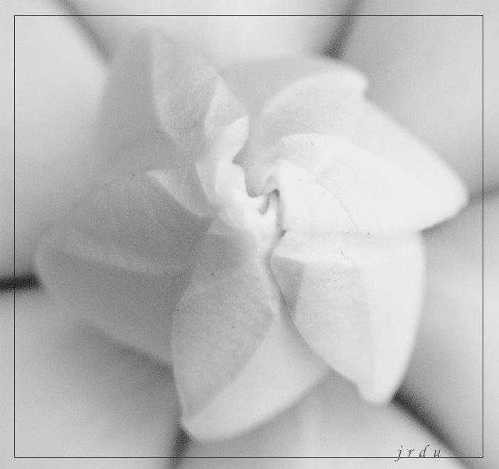 About to open<br>by jrdu