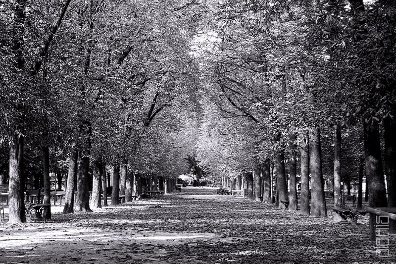 gates of eden*