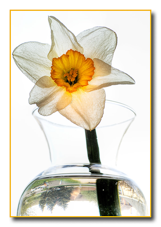 10th<br>flower on the windowsill