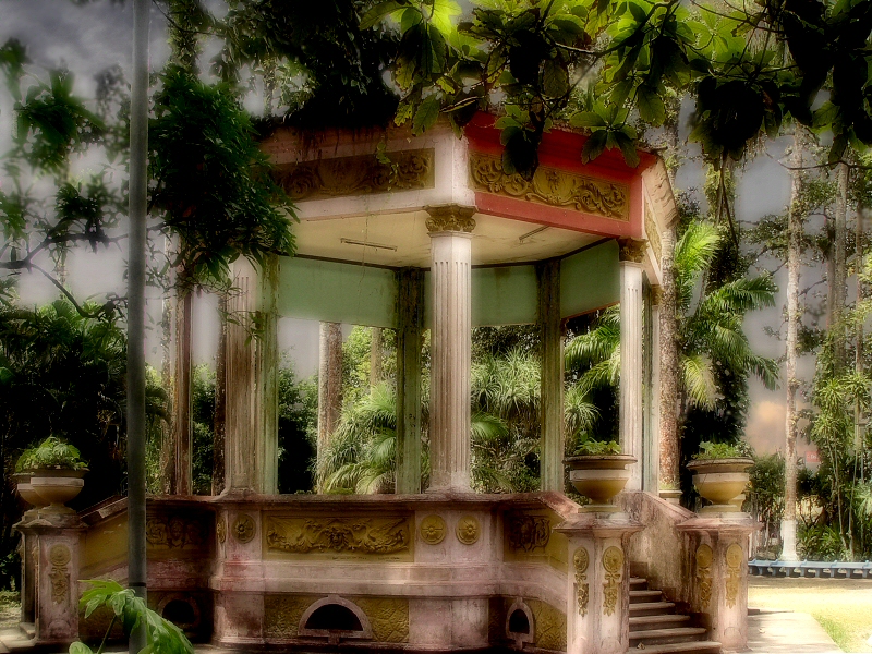 Hidden Civilization in the Jungle*