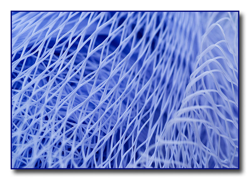 <b>8th Place (tie)</b> <br>thingy