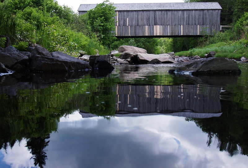 Looking Upstream<br>by Neil MacDonald