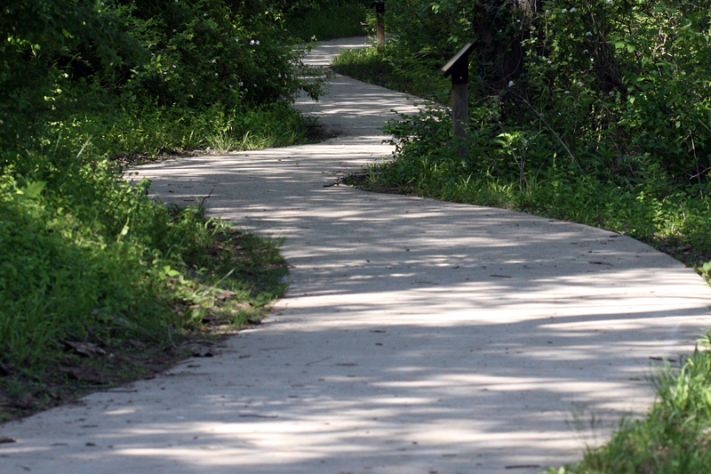 Nature trail