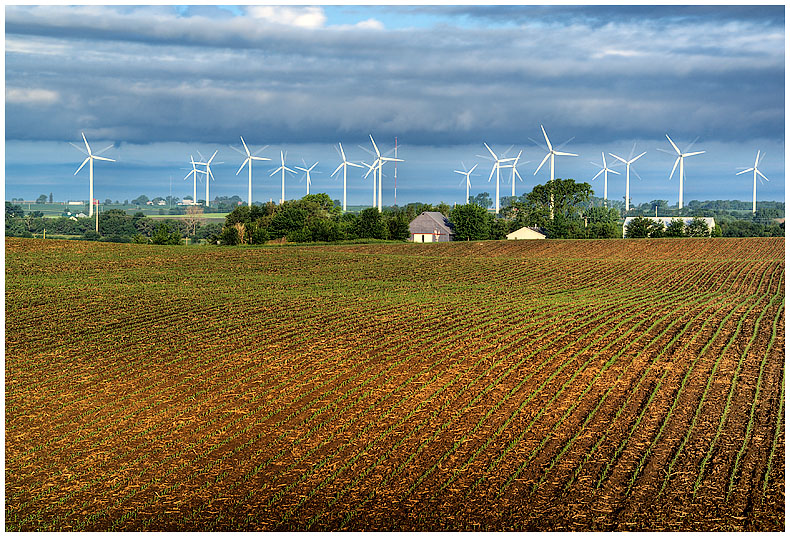 6th: distant windmills