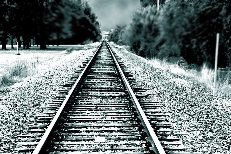 10th: Nocturnal Tracks