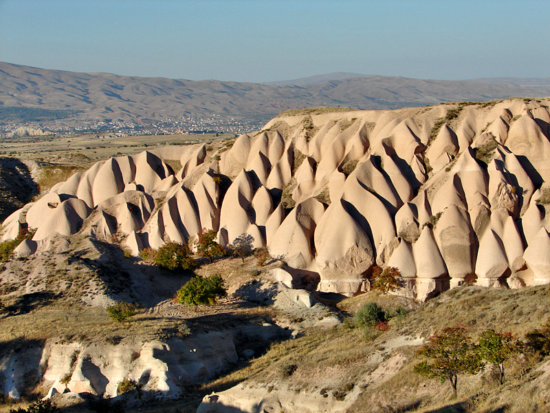 Dune
