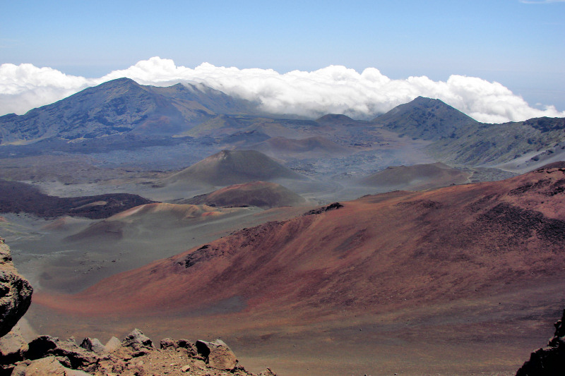 <B>Earth or Mars?</b>