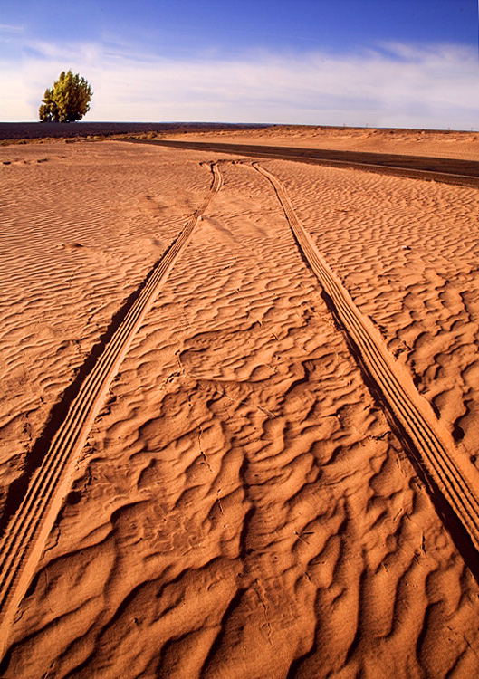 <b>10th Place (tie)</b><br>Sandscape<br>by Moti
