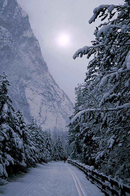 Snowscape *