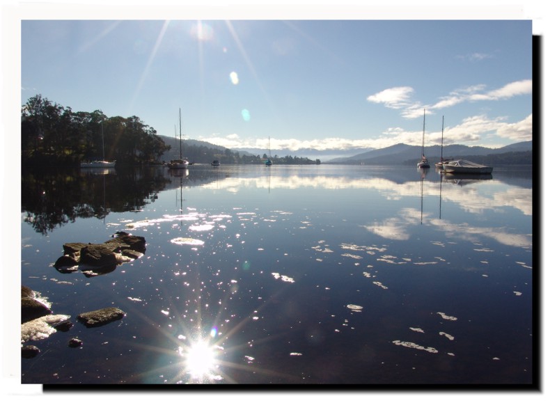 Huon River Reflections*