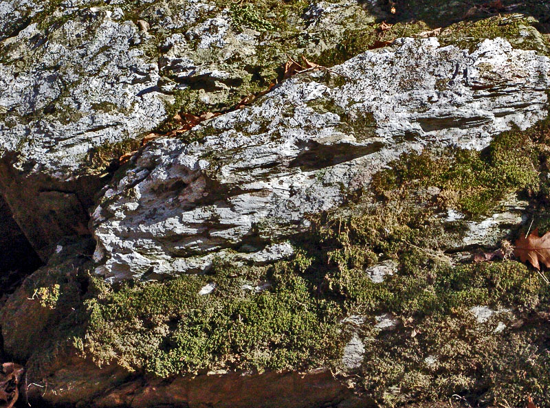 trompe-loeuil (1)<br> by inframan