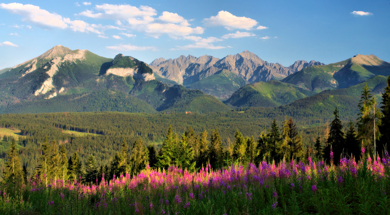 <b>3rd Place</b><br>Mountains, My Mountains