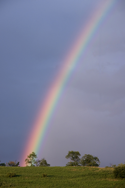 with rainbow <br> by inframan