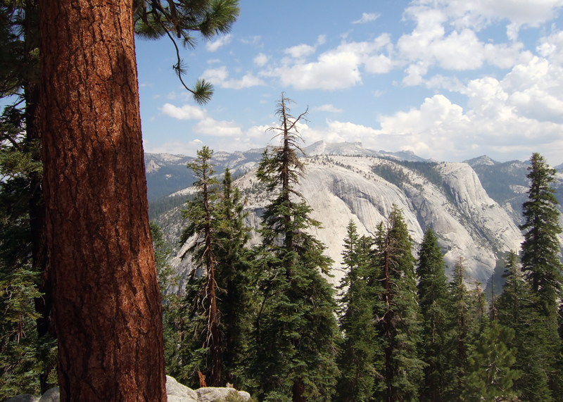 View from Half Dome Trail by Scott Butler