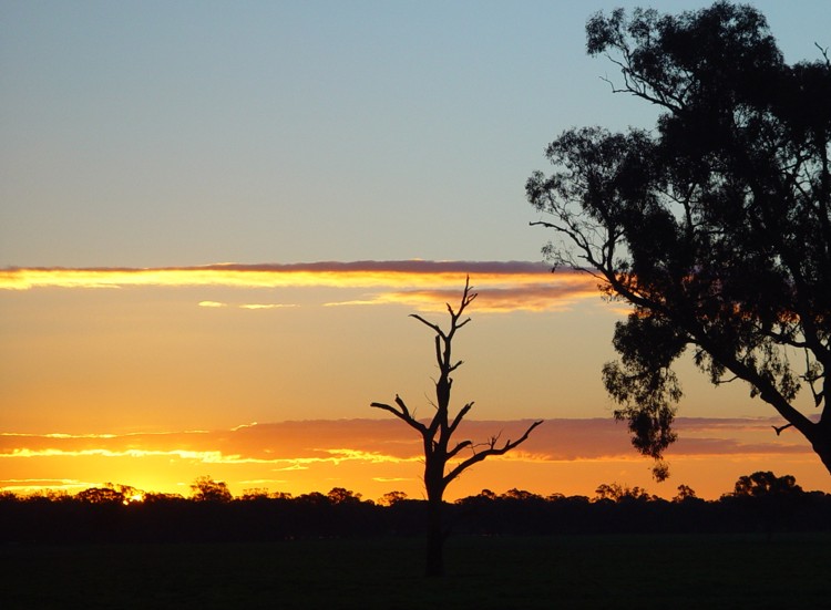 Winter Sunset
