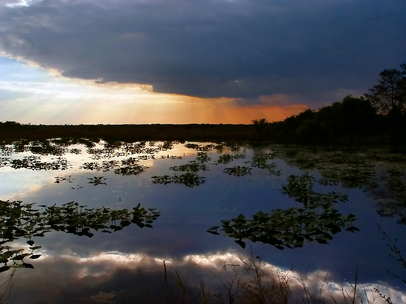 <b>9th Place (tie)</b><br>Everglades Sunset Storm