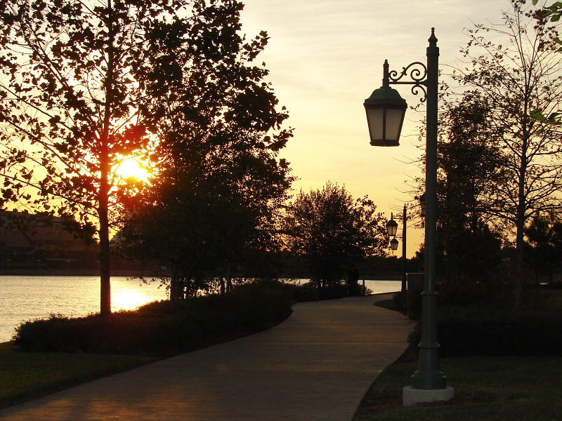 Winding Path*