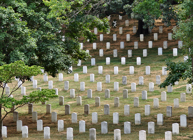 <b>2nd Place</b><br>Landscape of the Fallen